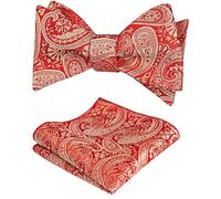 Alizeal Mens Self Tie Bow Ties and Pocket Square Paisley Jacquard Classic Hanky and Tie Set, Red Gold