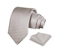 Alizeal Mens Solid Color Necktie and Pocket Square for Business Formal Classic Elegant Check Tie and Hanky Set, Silver