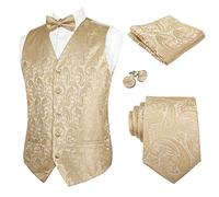 Alizeal Mens Waistcoat Necktie Hanky Cufflinks and Bow Tie Set Paisley Classic 5pc Set, Champagne-S