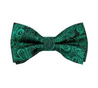 Alizeal Paisley Banded Adjustable Length Pre-tied Boy's Bow Tie, Dark Green