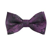 Alizeal Paisley Banded Adjustable Length Pre-tied Boy's Bow Tie, Eggplant