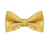 Alizeal Paisley Banded Adjustable Length Pre-tied Boy's Bow Tie, Golden Olive