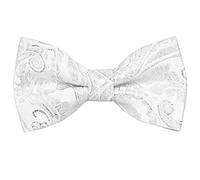 Alizeal Paisley Banded Adjustable Length Pre-tied Boy's Bow Tie, Shiny Silver
