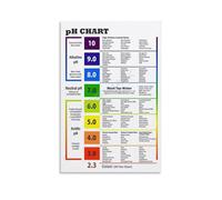 Alkaline Diet Balance Sheet PH Food Chart Poster PH Chart Poster Canvas Painting Posters And Prints Wall Art Pictures for Living Room Bedroom Decor 12x18inch(30x45cm) Unframe-style