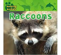 ALL ABOUT ANIMALS RACCOONS
