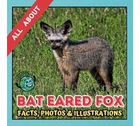 All about Bat Eared Fox | Facts, Photos and Illustrations: A Picture Book for Kids and Toddlers | Screen-Free Infotainment (MY WORLD for YOUNG READERS)