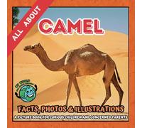 All about Camel | Facts, Photos and Illustrations: A Picture Book for Curious Children | Screen-Free Infotainment (MY WORLD for YOUNG READERS)