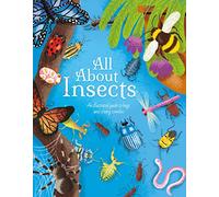 All About Insects: An illustrated guide to bugs and creepy-crawlies (All About Nature)