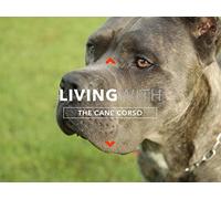 All About Living With The Cane Corso
