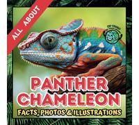All about Panther Chameleon | Facts, Photos and Illustrations: A Picture Book for Kids and Toddlers | Screen-Free Infotainment (MY WORLD for YOUNG READERS)