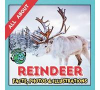 All about Reindeer | Facts, Photos and Illustrations: A Picture Book for Curious Children | Screen-Free Infotainment (MY WORLD for YOUNG READERS)