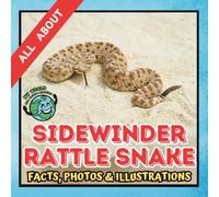All about Sidewinder Rattlesnake | Facts, Photos and Illustrations: A Picture Book for Curious Children | Screen-Free Infotainment (MY WORLD for YOUNG READERS)