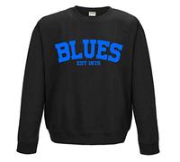 All About The Print Blues Established in 1875 Premium Sweatshirt Gift Medium