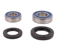 All Balls 25-1831 Wheel Bearing Kit Compatible with/Replacement For Kayo Bull 200 2018-2024, Jackal 200 2018-2024