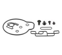 All Balls Carburetor Repair Kit