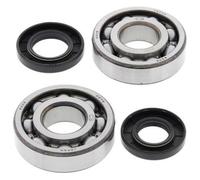 All Balls Crankshaft Bearing & Oil Seal Kit