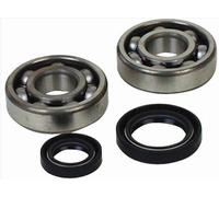 All Balls Crankshaft Bearing & Oil Seal Kit