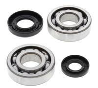 All Balls Crankshaft Bearing & Oil Seal Kit