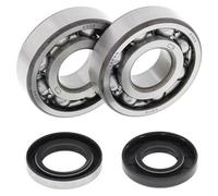 All Balls Crankshaft Bearing & Oil Seal Kit