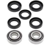All Balls Front Wheel Bearing Kit