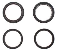ALL BALLS RACING FORK SEALS/DUST SEAL KIT 48 X 58 X 9.5 (56-146 NEW)