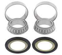 All Balls 22-1024 Sherco/suzuki Rm 89-90/yamaha Steering Bearing Kit Silver