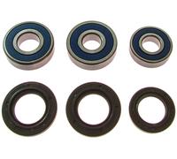 All Balls Racing 25-1605 Front Wheel Bearing Kit Silver