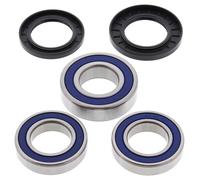 All Balls Racing Wheel Bearing Sets BACK 25-1039