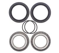 All Balls Rear Wheel Bearing Kit