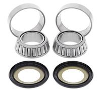 All Balls Steering Bearing Kit - Honda CRF250L 2013-20, CRF300L 2021-22