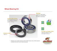 ALL BALLS Wheel bearing kit 25-1202