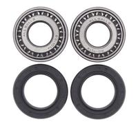 All Balls Wheel Bearing Kit - Harley Davidson FLH Electra Glide 1973-81