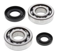 All Balls Yamaha Yz250 2001-2024 Crank Shaft Bearing Kit Silver