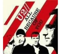 All Because Of You [DVD] [Region 1] [NTSC]