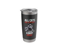 All Cats are Cool But Korat Rule Stainless Steel Insulated Tumbler