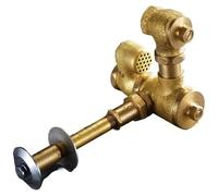 All-Copper Flush Valve, Hand-Pressed Time-Lapse Concealed Wall-Mounted Stool with Trap B-10(No Strainer-1)