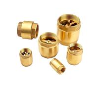 All-Copper Thickened Inner and Outer Wire Water Pipe Check Valve Spring One-Way Valve(Sv240W50 531g)