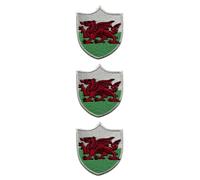 All Countries Shield Flag Patch Set of 3 - Embroidered Iron/Sew On National Flag Badge - 6.3 x 5.5 cm for Travel, Jacket, Backpack, Hat, Clothes and DIY Crafts. (Wales)