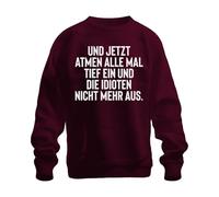 All Deeply Inhale Idiots Air Hold Sarcasm Irony Gag Unisex Sweatshirt Pullover, burgundy, XL