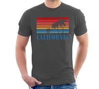 All+Every California Blue Surfers Sunset Stripes Men's T-Shirt
