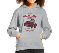 All+Every Harry Potter All Aboard The Hogwarts Express London to Hogsmeade Kid's Hooded Sweatshirt Heather Grey