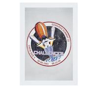 All+Every NASA STS 6 Challenger Mission Badge Distressed A3 Print Poster Wall Art