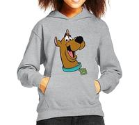 All+Every Scooby Doo Collar Smile Kid's Hooded Sweatshirt Heather Grey