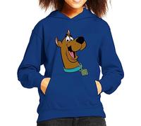 All+Every Scooby Doo Collar Smile Kid's Hooded Sweatshirt Royal Blue