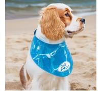 All For Paws Chill Out Ice Bandana - Size: Small