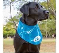 All For Paws Chill Out Ice Bandana - Size: X Large