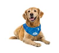 ALL FOR PAWS Cooling Dog Bandana, Ice Bandana, Blue, XL