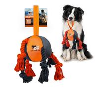 ALL FOR PAWS Dog Ball Toys with Rope & Dental Knots, Interactive Dog Balls Toy for Small Medium Large Breeds, Oxford Fabric Rope Balls for Fetch & Tug Play, Fun Outdoor Play Toys
