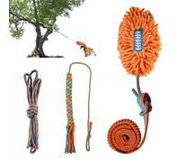 ALL FOR PAWS Dog Bungee Tug Toy, Outdoor Hanging Bungee from Tree for Chase & Tug Fun, Interactive Tug-of-War Toy for Small and Medium Dogs, Bungee Cord with Dog Rope Toy & Soft Chew Toy