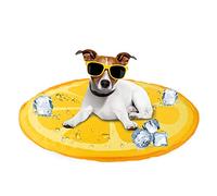 ALL FOR PAWS Dog Cooling Mat, Pet Bed Dog Mat Self-Cooling Pad Cool Gel Bed Large Dog Cooling Pads Mats, No Need to Refrigerate or Freeze, Great For Dogs Cats in Hot Summer, 60CM (Orange)